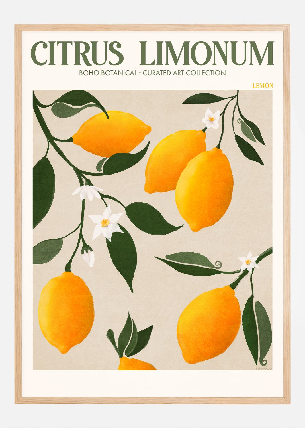 Product Image for Boho Citrus Limonum Juliste (21x29.7 cm (A4))