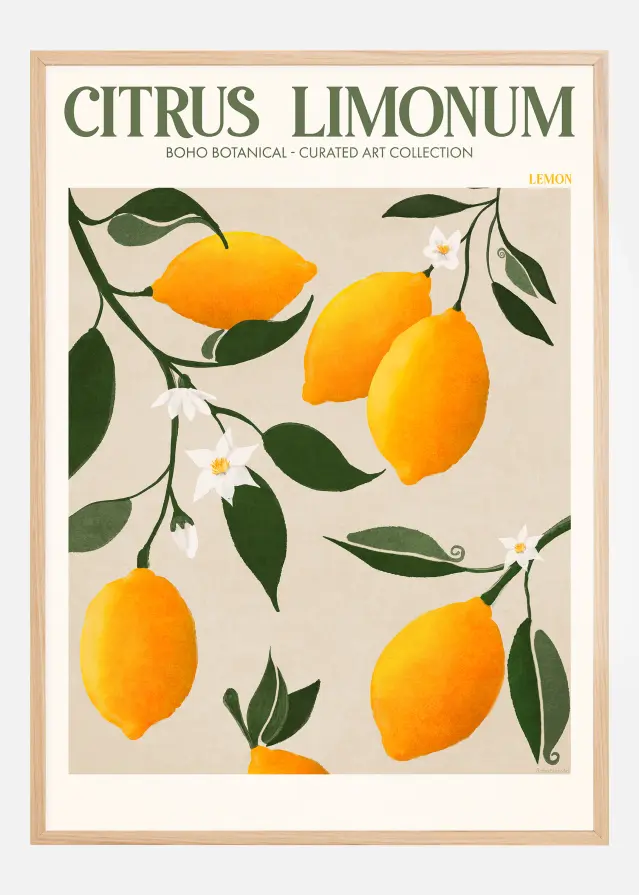 Boho Citrus Limonum Juliste