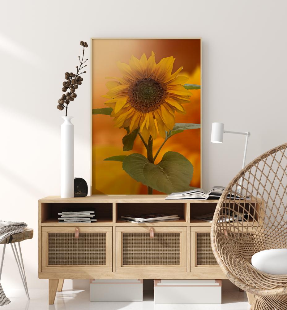 Sunflower Juliste