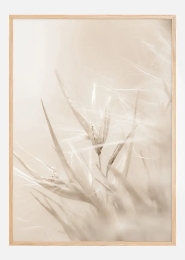 Beige Dried Straws l Juliste