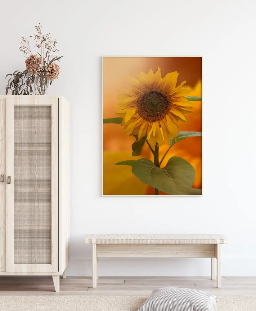 Sunflower Juliste