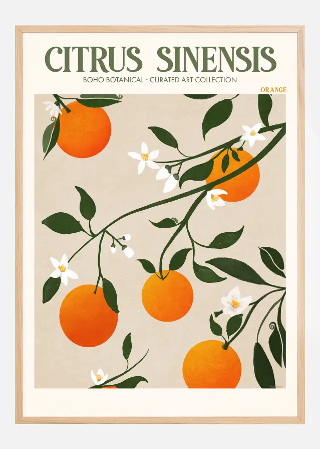 Boho Citrus Sinensis Juliste