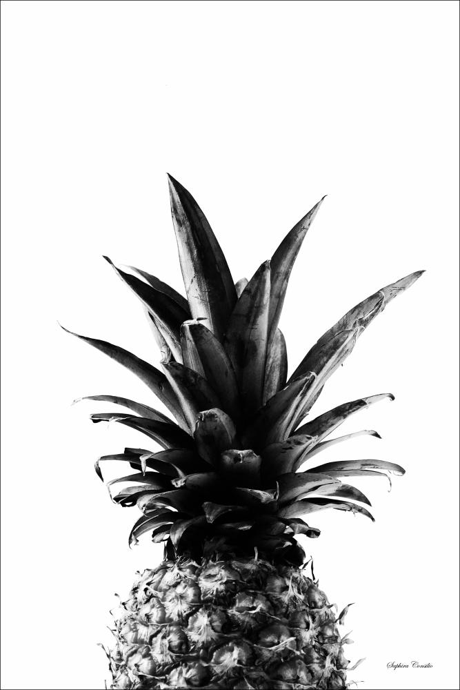 Pineapple B&W Juliste