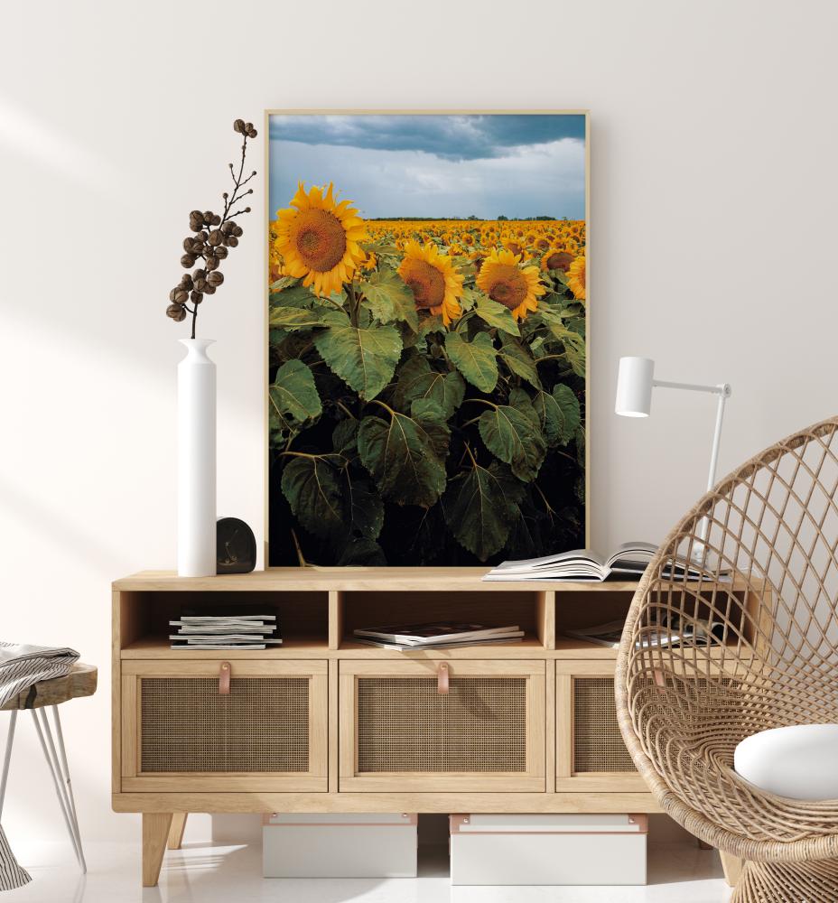 Sunflowers Juliste