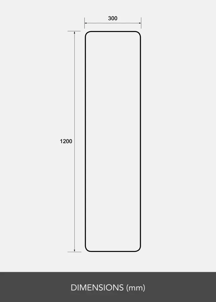 Peili Rectangle L 30x120 cm