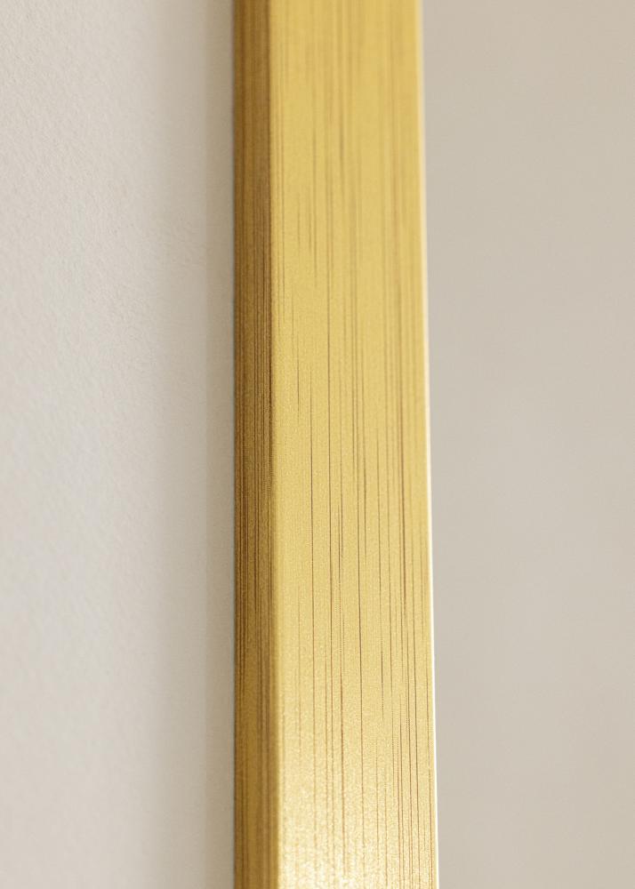 Kehys Gold Wood 30x60 cm