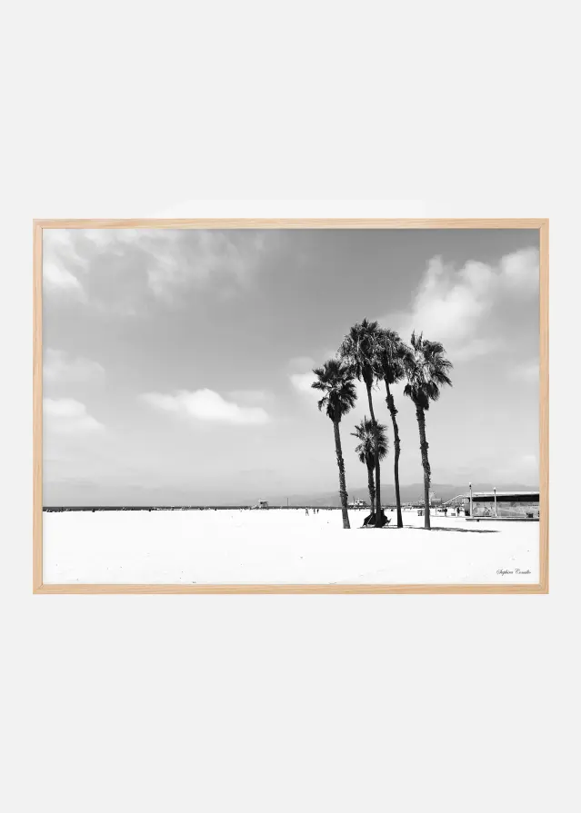 Venice Beach Ocean Juliste