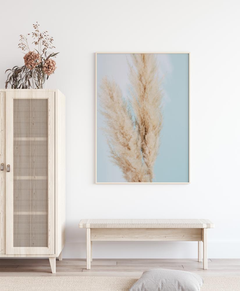 Pampas Grass Blue Juliste