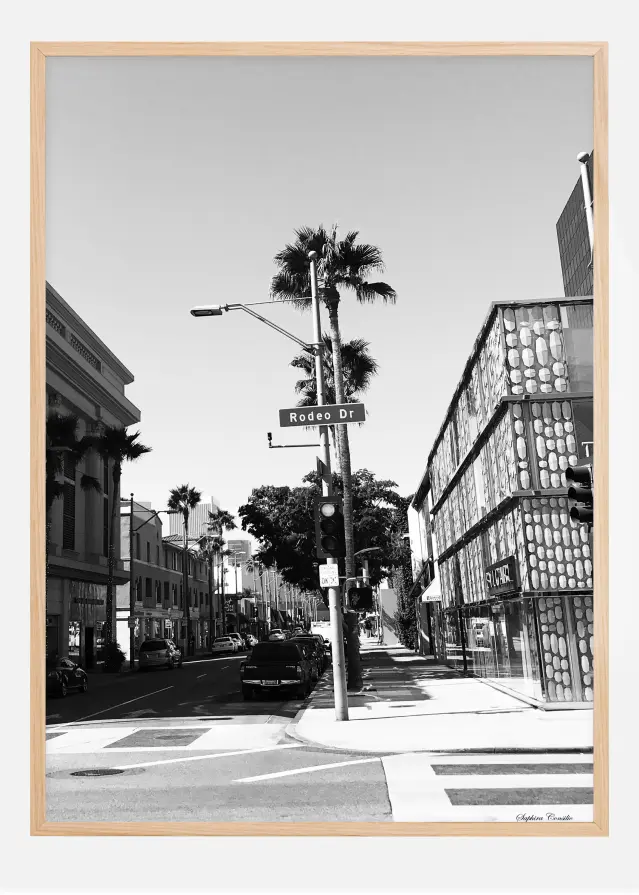 Rodeo drive Juliste