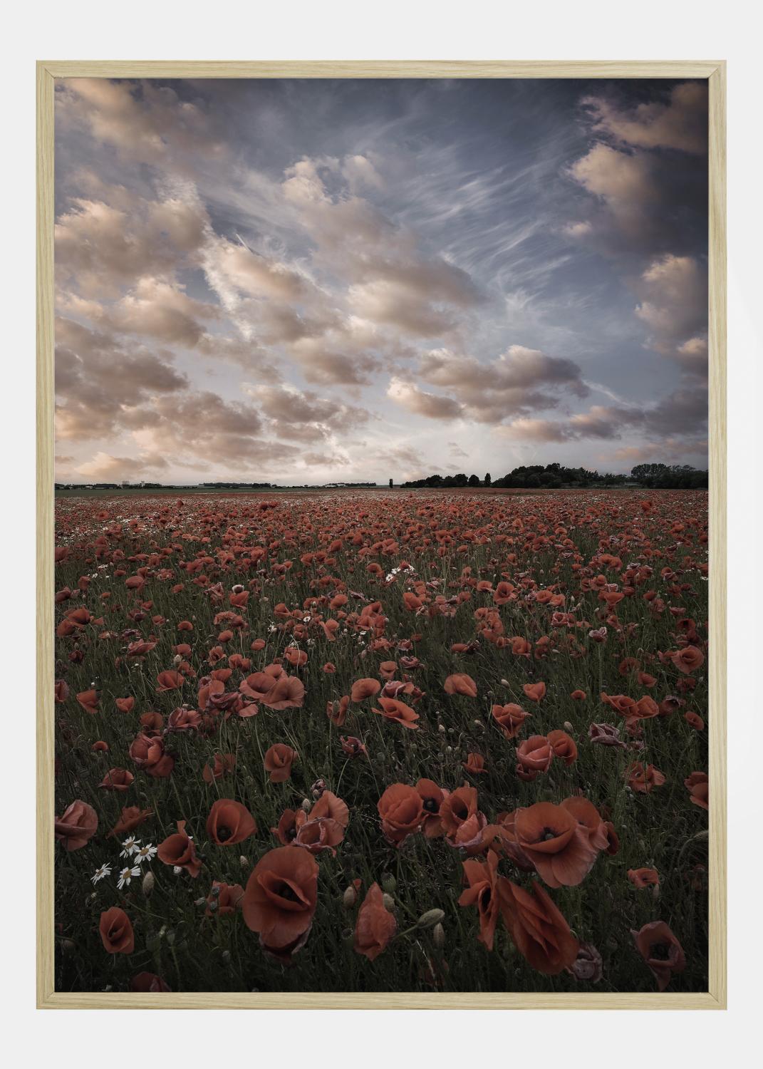 Product Image for Poppy Field In Sweden Juliste (21x29.7 cm (A4))