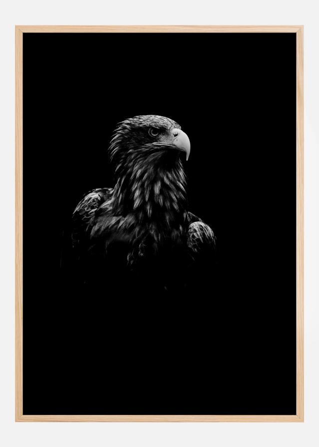 Black Eagle Juliste