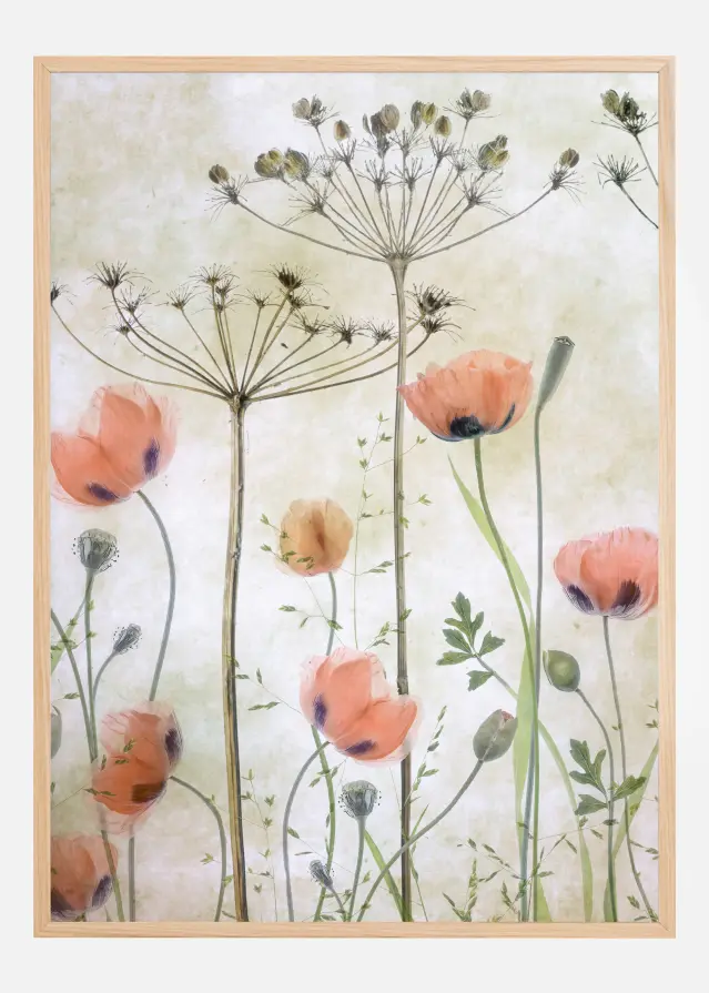 Poppy Meadow Juliste