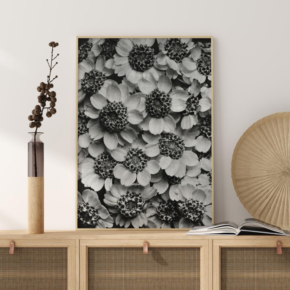 Black And White Flowers Juliste