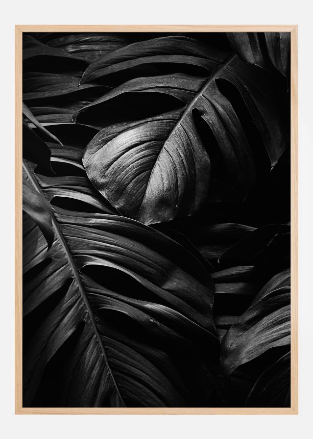 Black Leaves Juliste