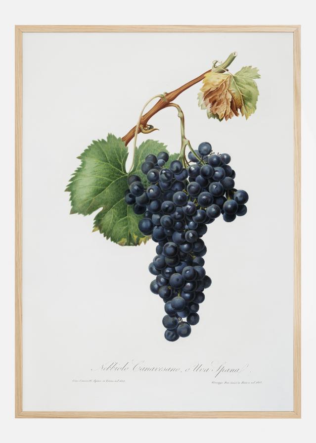 Grapes Juliste