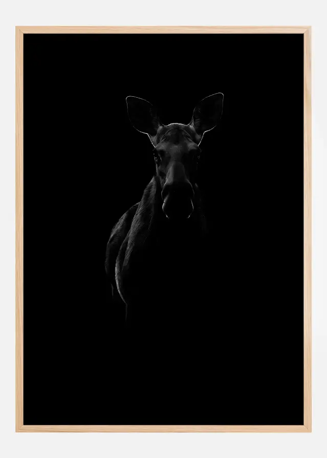 Black Moose Juliste