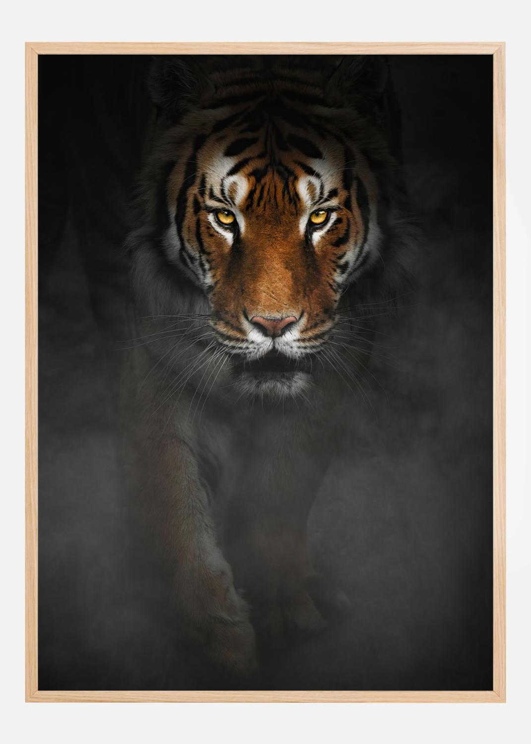 Product Image for Intense Tiger Juliste (50x70 cm)