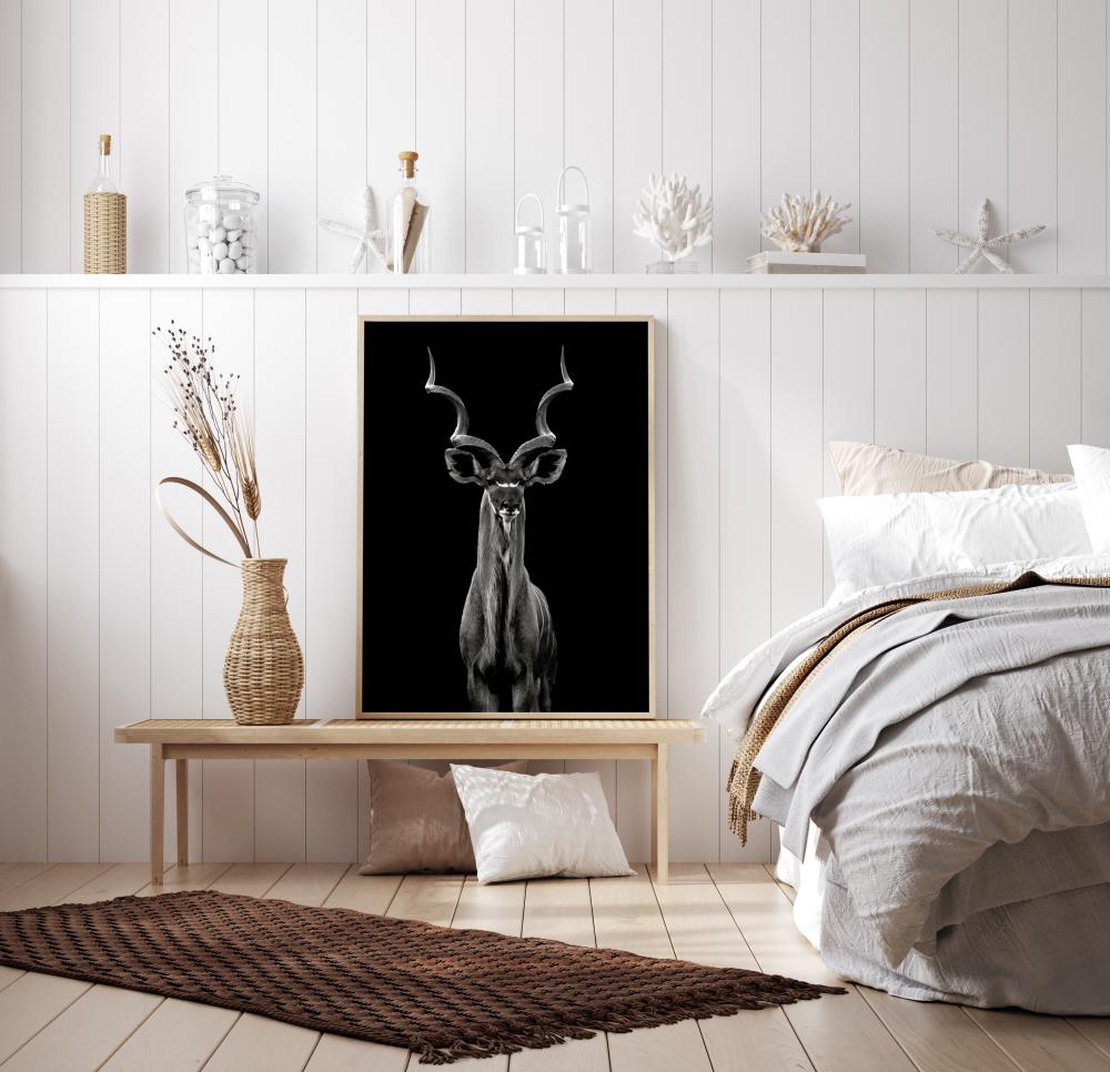 Greater Kudu Juliste