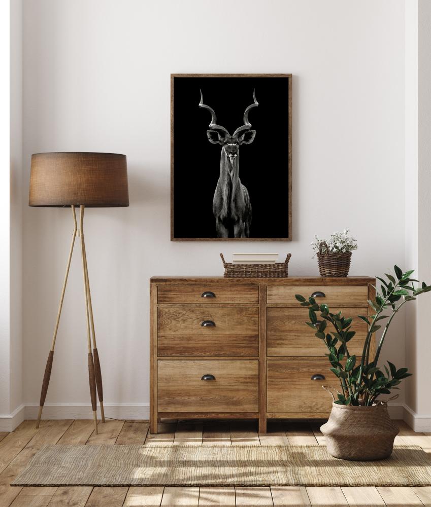 Greater Kudu Juliste