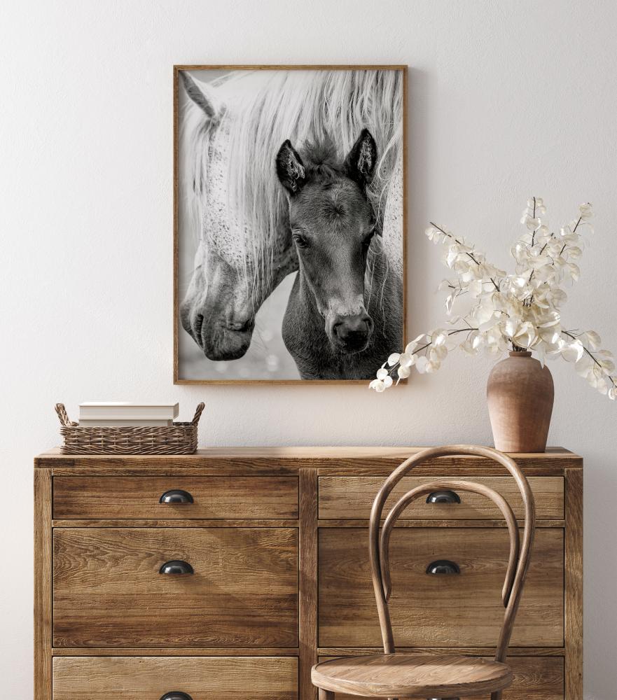 The Foal Juliste