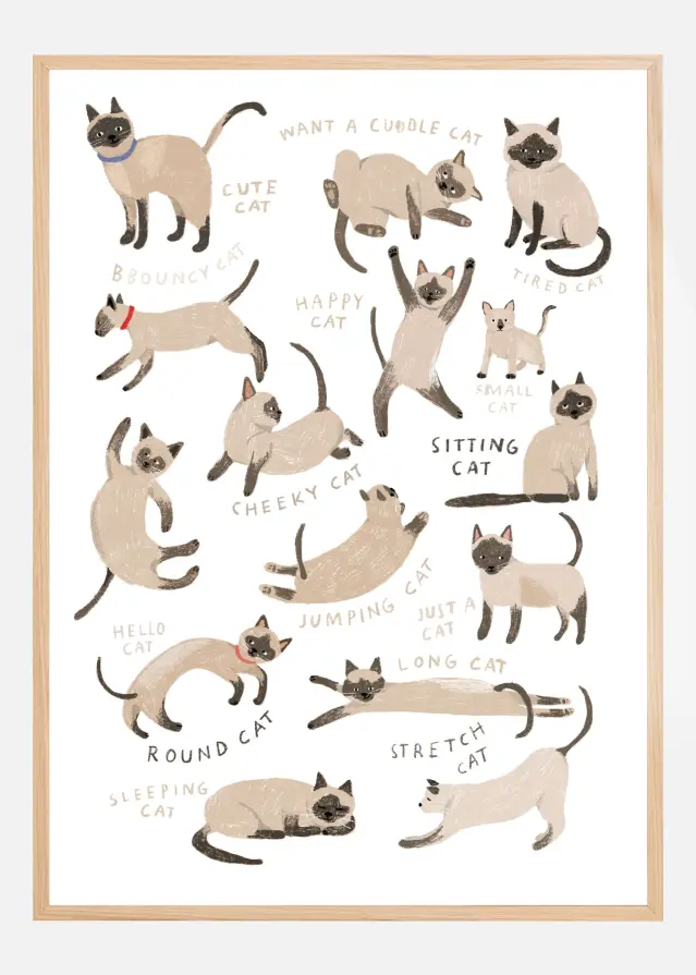 Siamese Cat Print Juliste