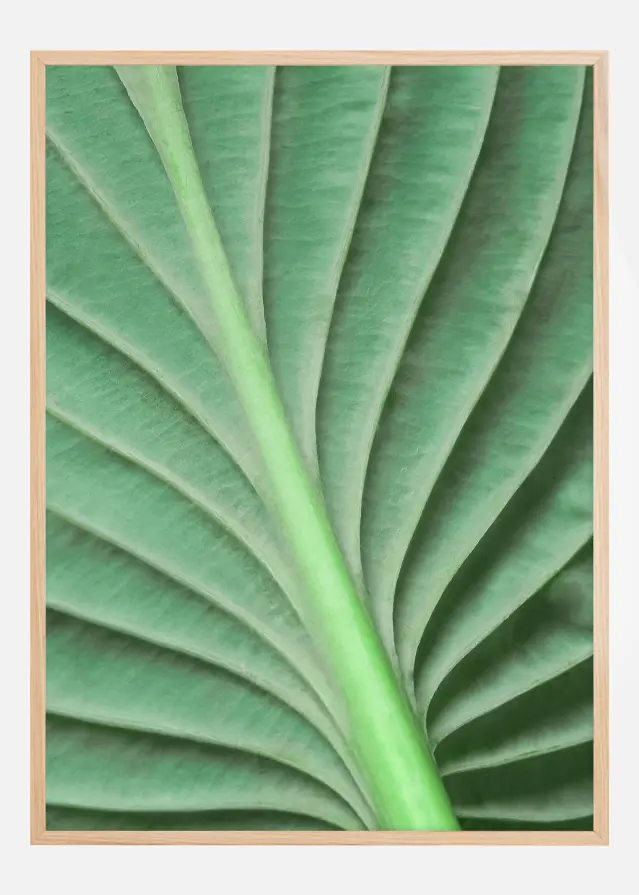 Leaf Juliste