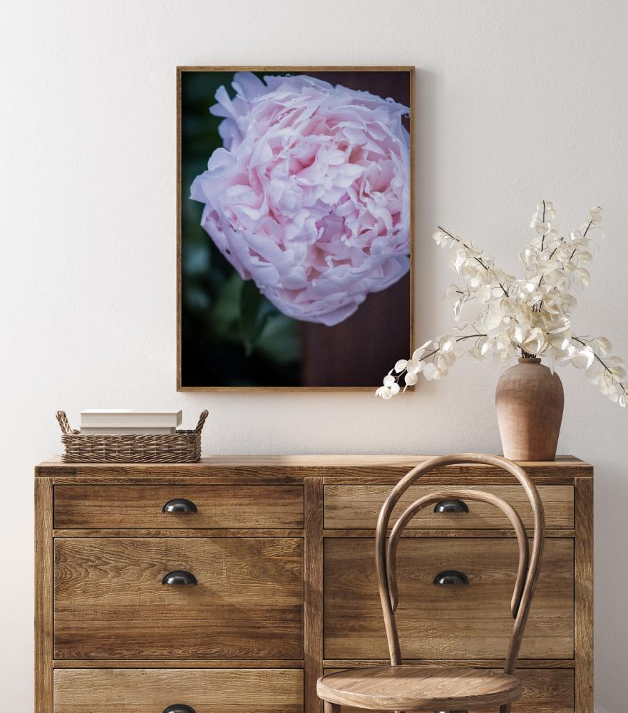 Peony I Juliste